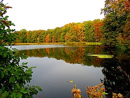 湖,森林,waldsee