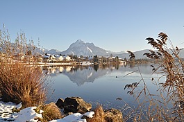 湖,冬天,säuling
