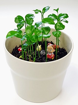 塑像,鍋,植物