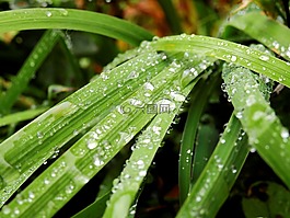 滴,水,一滴水