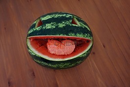 瓜,快樂(lè),食品