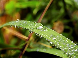 滴,水,一滴水