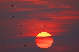 日落,天空,西