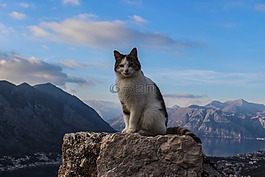 性質(zhì),在戶(hù)外,雪