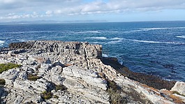 度假,海,海洋