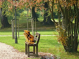 公園,青蛙王子,童話故事