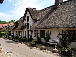 首頁,里德,屋頂