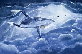 鯨魚,vráskavec,云