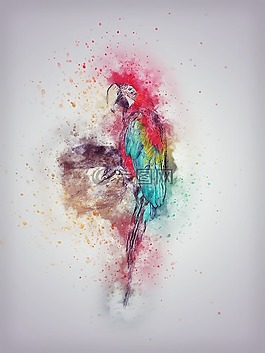 鸚鵡,鳥,羽化