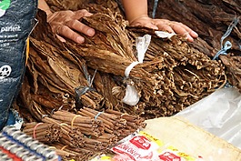 煙草,葉子,葉