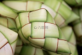 持有人,水稻,自然