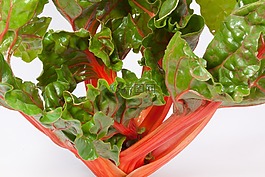 甜菜,草本稈,蔬菜