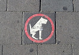 路面,跡象,狗