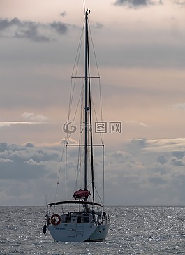 人体内的水,海,海洋