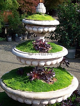 花園,植物,集裝箱