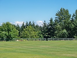 公園,自然,戶外