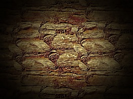 紋理,結(jié)構(gòu),磚墻