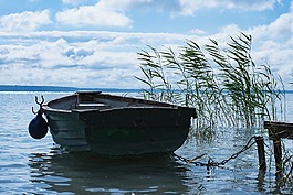 巴拉頓湖,湖,人體內(nèi)的水