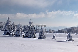 冬天,雪,全景