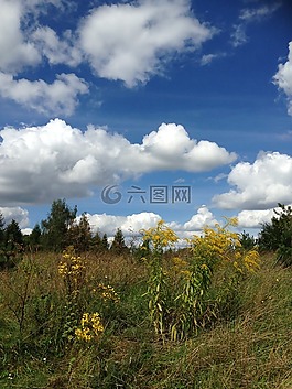 天空,藍(lán)色,云