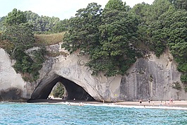 岩,新西兰,海