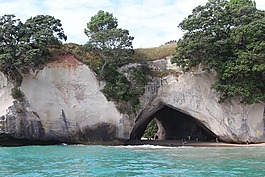 岩,新西兰,海
