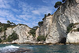 岩,新西兰,海