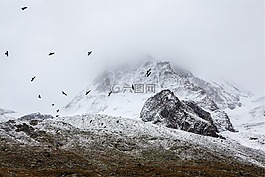 山,瑞士,冷