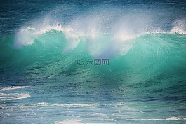 冲浪,水,海
