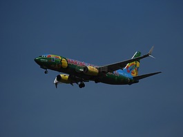 著陸,飛機(jī),天空
