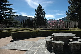 表,花园,树