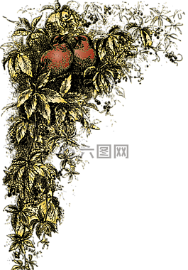 鳥,葉子,葉