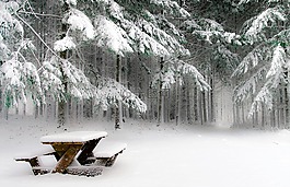 温特斯,雪,冷
