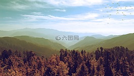 印度,是小馬駒,喜馬偕爾