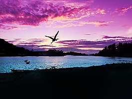 日落,天空,自然