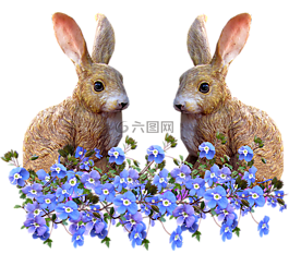 兔,藍色花,剪出