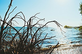 海,景觀,性質(zhì)