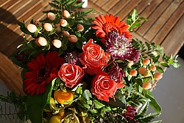 鲜花,玫瑰,gerbien