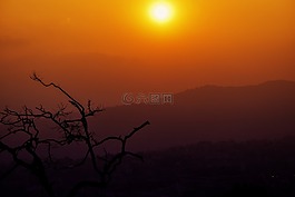 日落,寺,樹