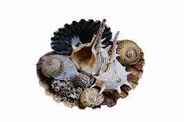 海,外殼,性質(zhì)