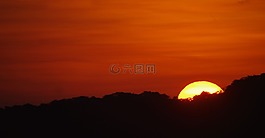 日落,鴨,天空