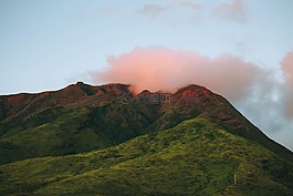 綠色,草,高原