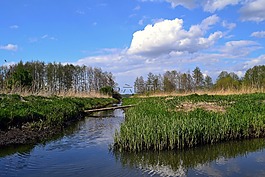 風(fēng)景,波蘭,景觀