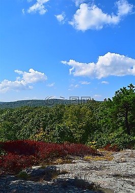 山頂,樹,天空