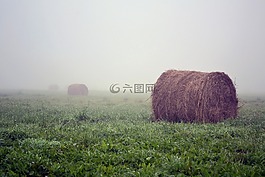 秸稈,草甸,早上