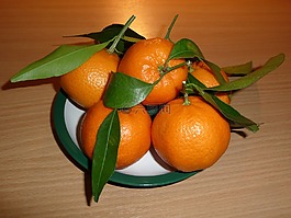 普通話,桔子,水果