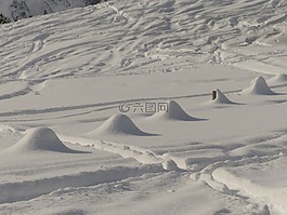 雪,冬天,景觀