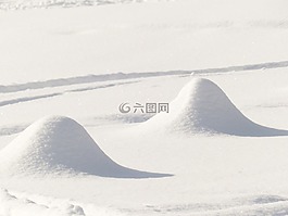 雪,冬天,景觀