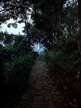 徑,路徑,伍茲