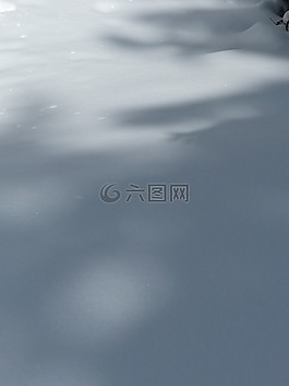 雪,冬天,新西蘭